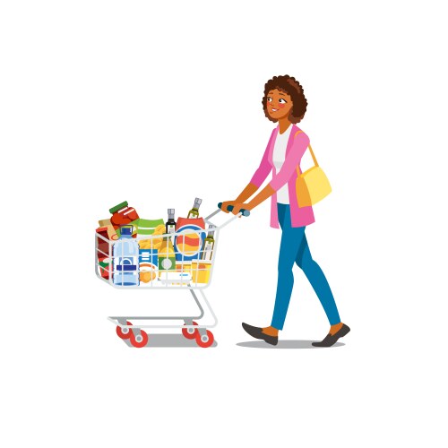 Woman shopping in grocery shop cartoon vector image