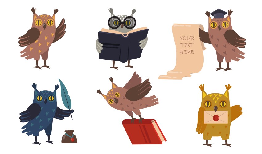 Academic owls set vector image