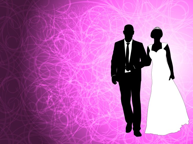 wedding couple on the abstract background vector image