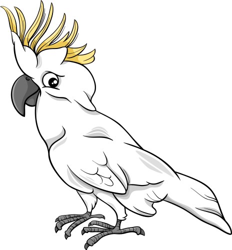 cockatoo parrot cartoon vector image