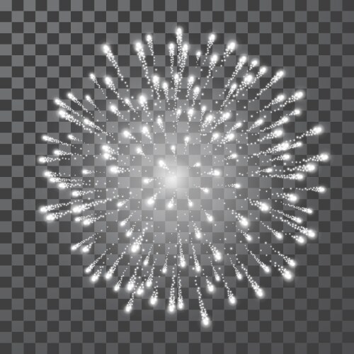 Fireworks festival white firework vector image