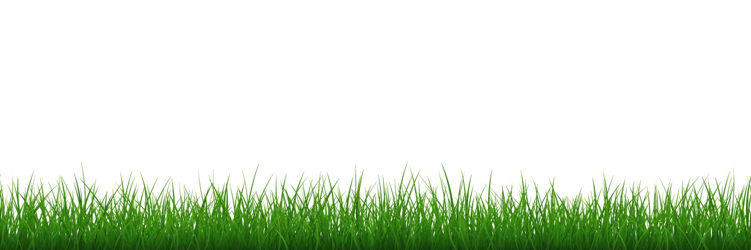 Green grass repeat texture vector image