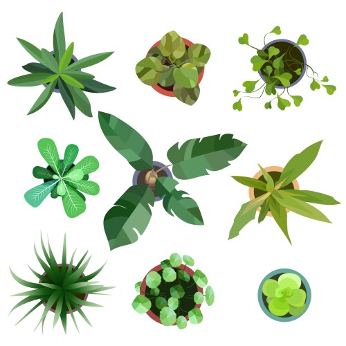 Top view plants easy copy paste in your landscape vector image