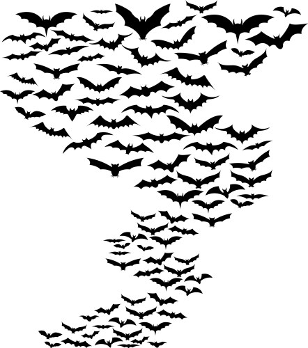 Bats flying around vector image