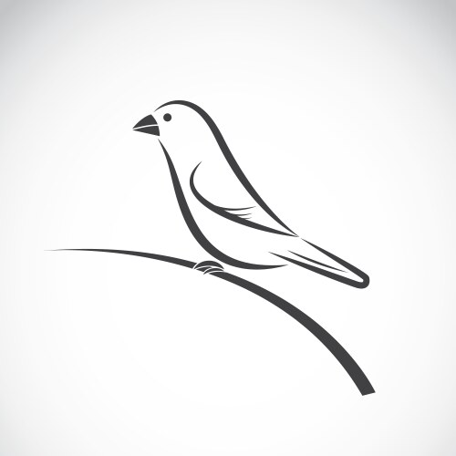 bird icon vector image