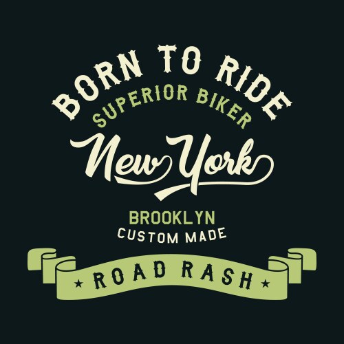 superior biker new york vector image