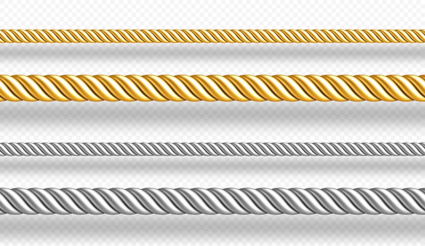 Gold and silver ropes twisted twines vector image