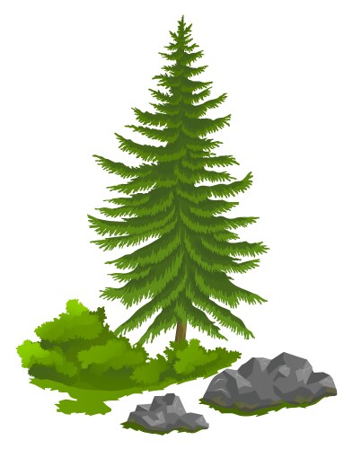 green spruce tree in flat design evergreen vector image