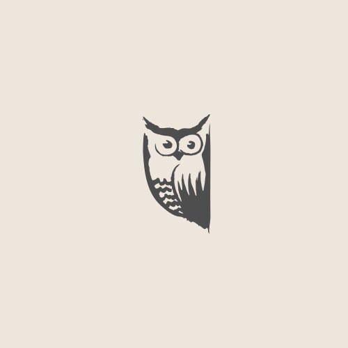 owl doodle cartoon vector image