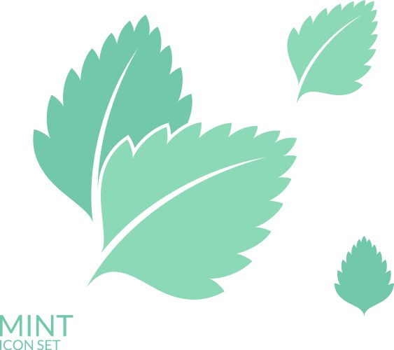 Mint icon set isolated leaves on white vector image