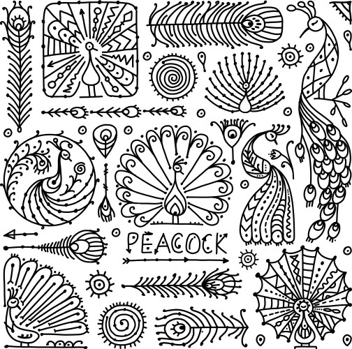 Peacock collection ethnic style sketch for your vector image