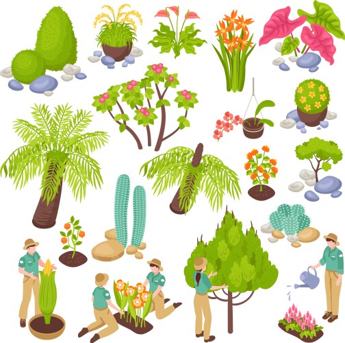 botanical garden constructor set vector image