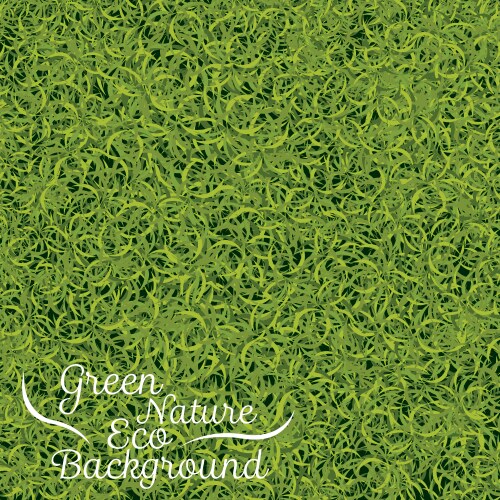 Green grass background vector image