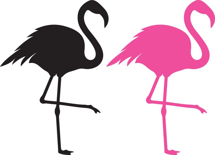 Flamingo vector image