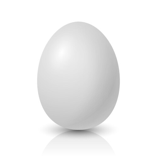 Realistic white chicken egg icon closeup vector image