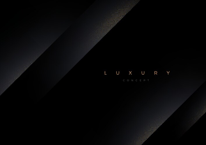 abstract luxury black background vector image