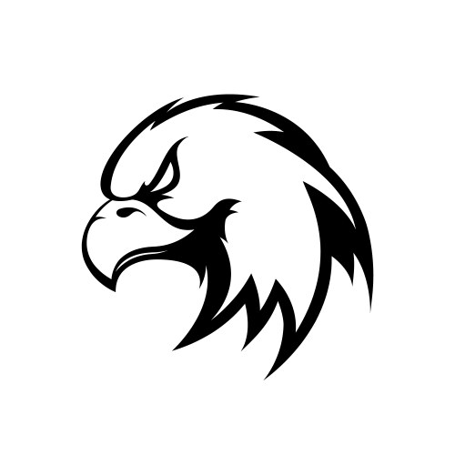 Furious eagle sport logo concept isolated vector image