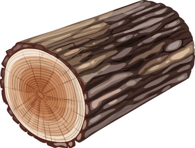 Realistic wooden log with detailed tree rings vector image