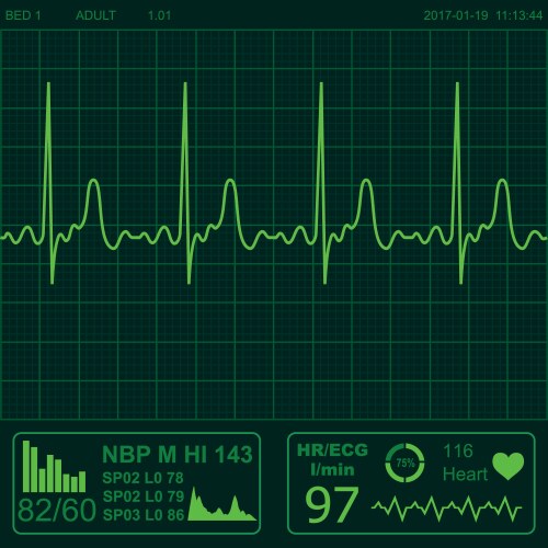 Heart monitor vector image