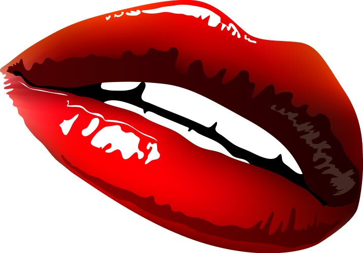 lips sex pink icon women vector image