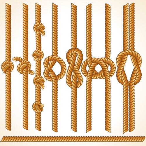 Seamless rope elements vector image