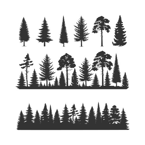 Set coniferous trees vector image