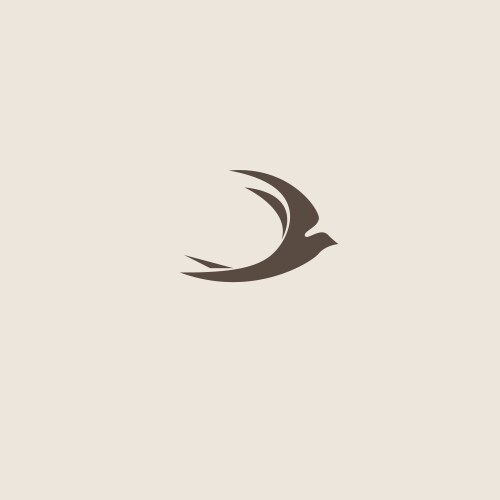 swallow bird abstract logo design template vector image