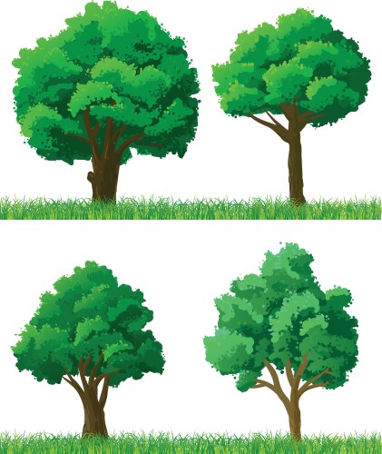 Green trees and grass set vector image