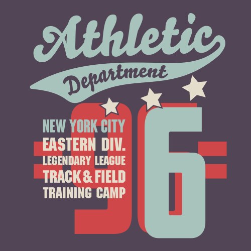 sport t-shirt graphics new york city athletic vector image