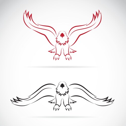 eagles vector image