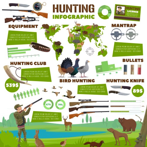 hunting infographics hunt equipment ammunition vector image