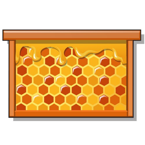 Wooden frame with sweet golden honeycomb vector image