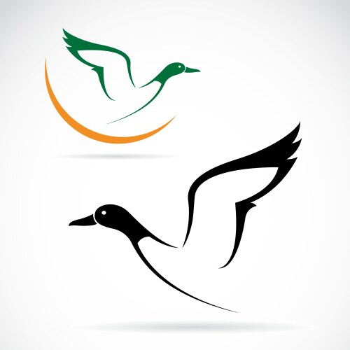 Flying wild duck vector image