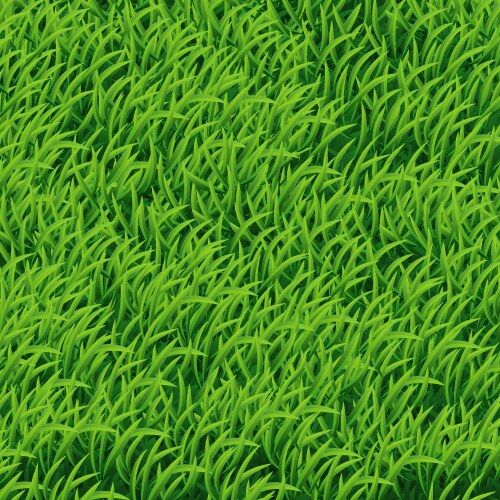 Background of green grass vector image