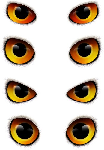 owl eyes realistic collection vector image