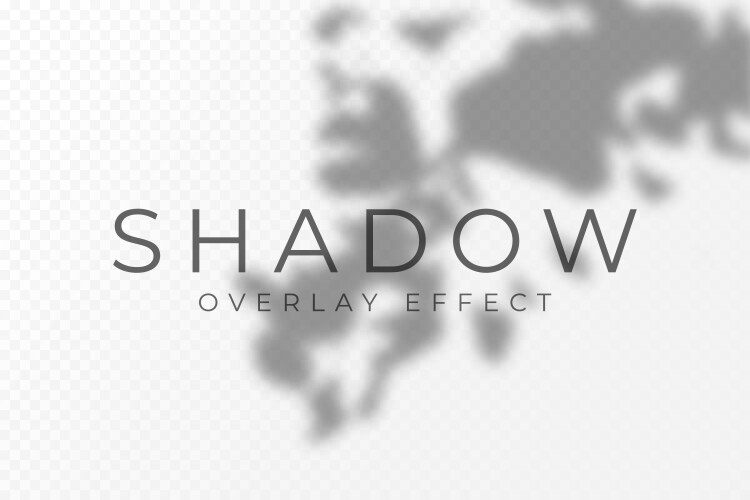 Shadow overlay effect transparent soft light vector image