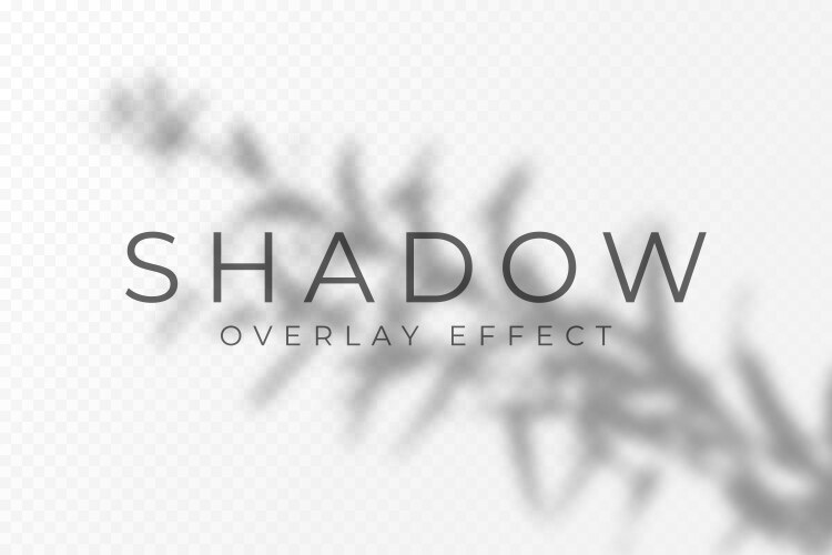 Shadow overlay effect transparent soft light vector image