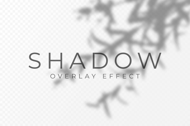 Shadow overlay effect transparent soft light vector image