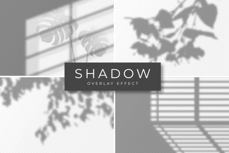 Set shadow overlay effects and light vector image