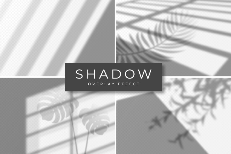 Set shadow overlay effects and light vector image