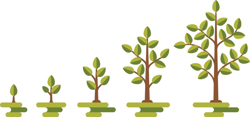 Green tree growth diagram vector image