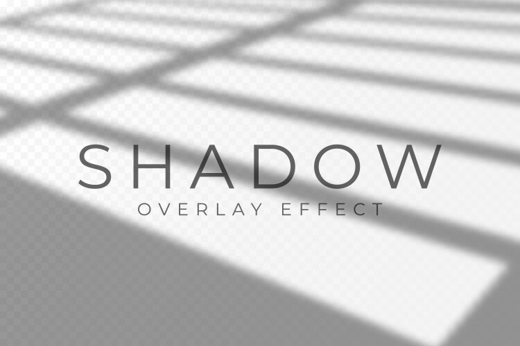 Shadow overlay effect transparent soft light vector image