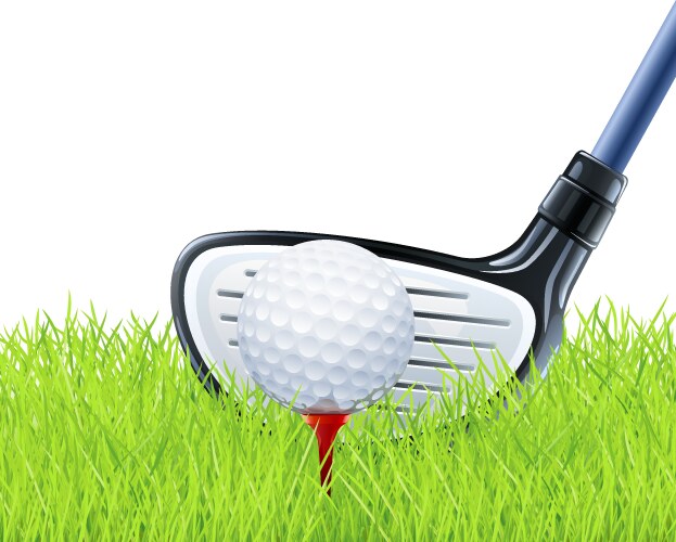 Golf club and ball on grass vector image