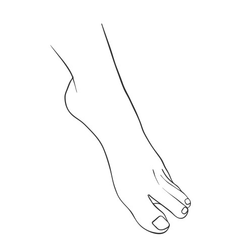 Hand drawn women foot vector image