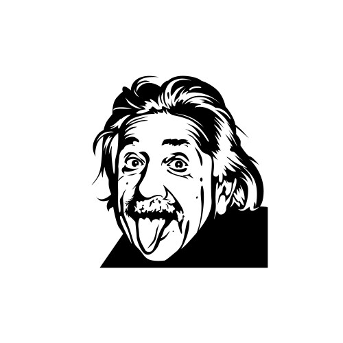 Portrait albert einstein physicist chemist vector image