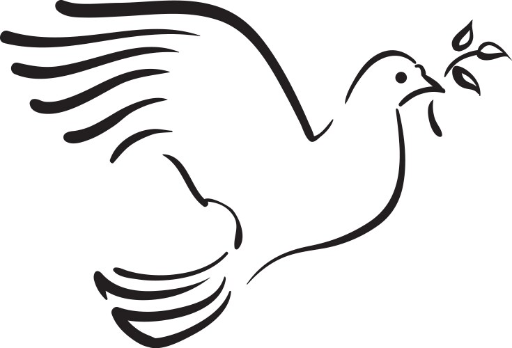 white dove with branch vector image