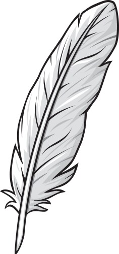 Feather vector image