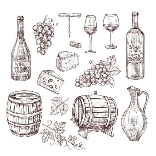 Sketch wine set grape bottles and wineglass vector image