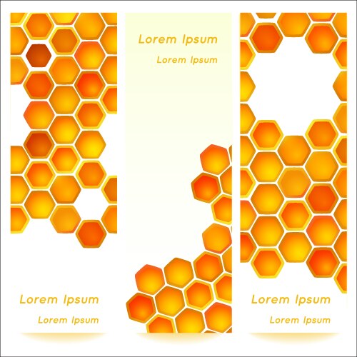 Vertical banners with honeycomb cells background vector image