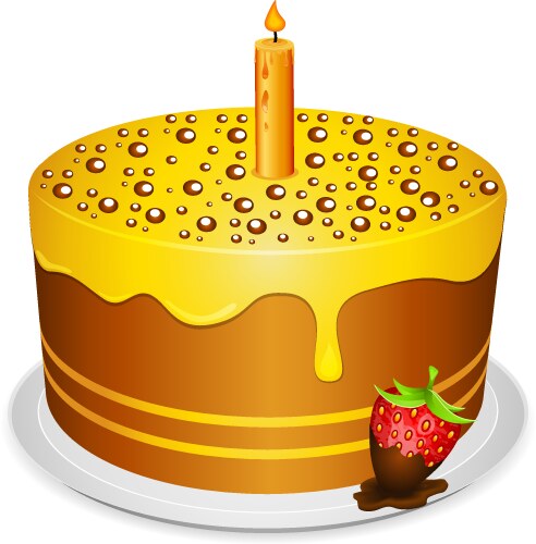 Cake vector image